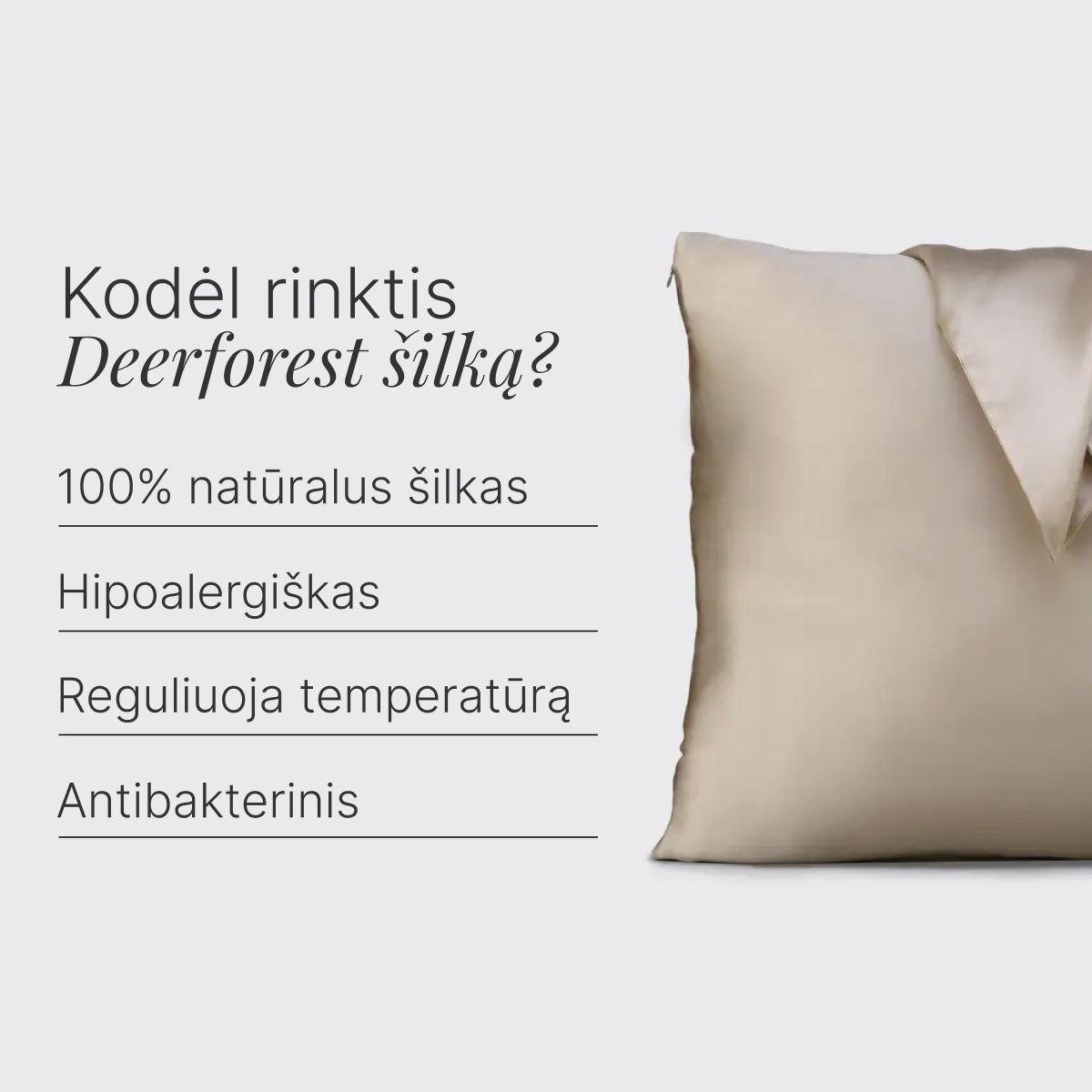 Siidist mugavuskomplekt (Standard 51 x 76 cm)